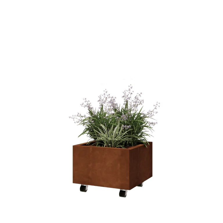 Donica ze stali corten - Kwadratowe - 50 x 50 x 30 cm - Z płytą dolną - Z kółkami