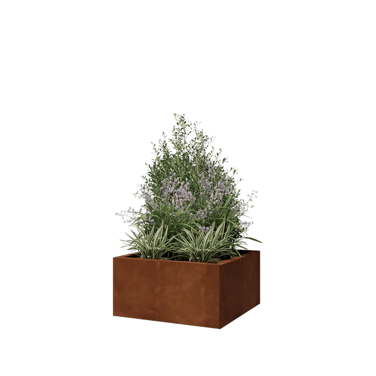 Donica ze stali corten - Kwadratowe - 60 x 60 x 30 cm - Z płytą dolną
