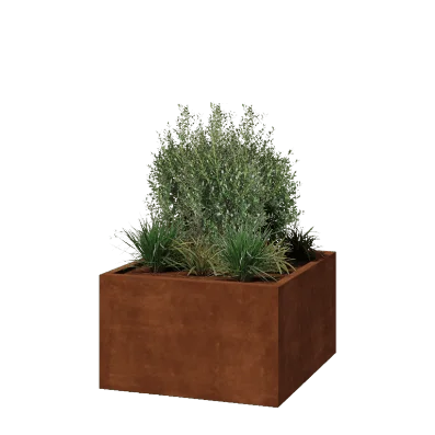 Donica ze stali corten - Kwadratowe - 100 x 100 x 60 cm - Spawany - Bez płyty dolnej