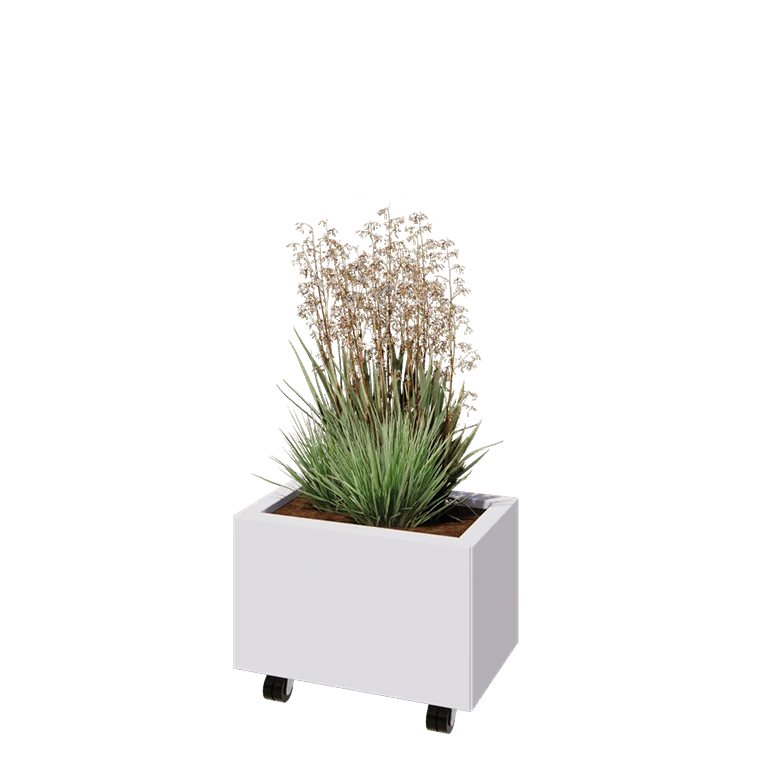 Stalowa donica - Prostokątne - 50 x 30 x 30 cm - RAL9010 matowy (biały) - Z płytą dolną - Z kółkami
