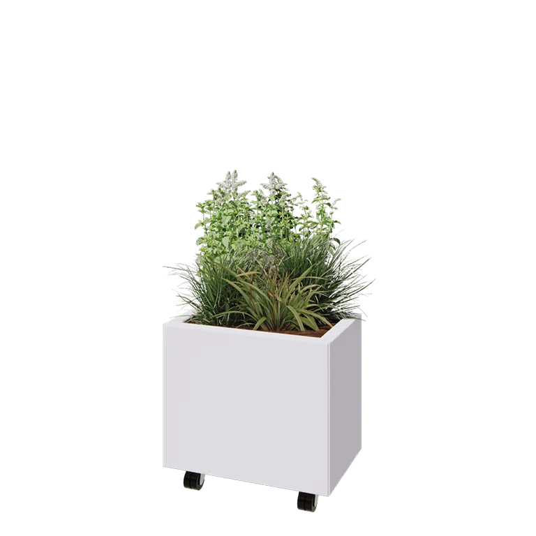 Stalowa donica - Prostokątne - 50 x 30 x 40 cm - RAL9010 matowy (biały) - Z płytą dolną - Z kółkami
